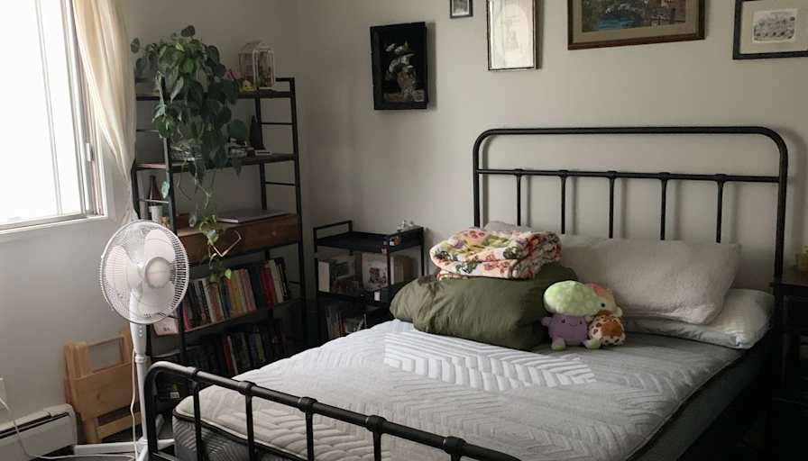 Maria Khanfar's room