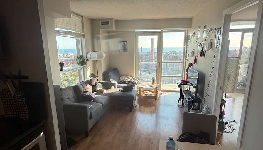 Kaytee's room