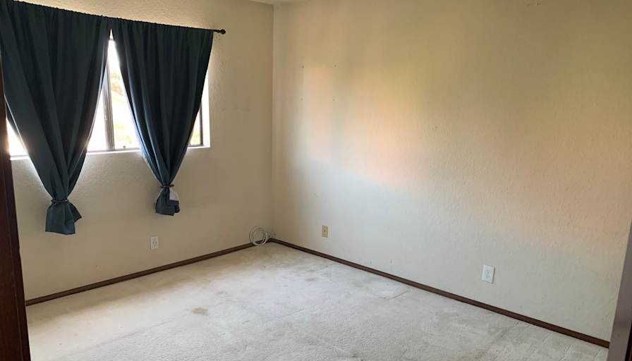 Stew's room