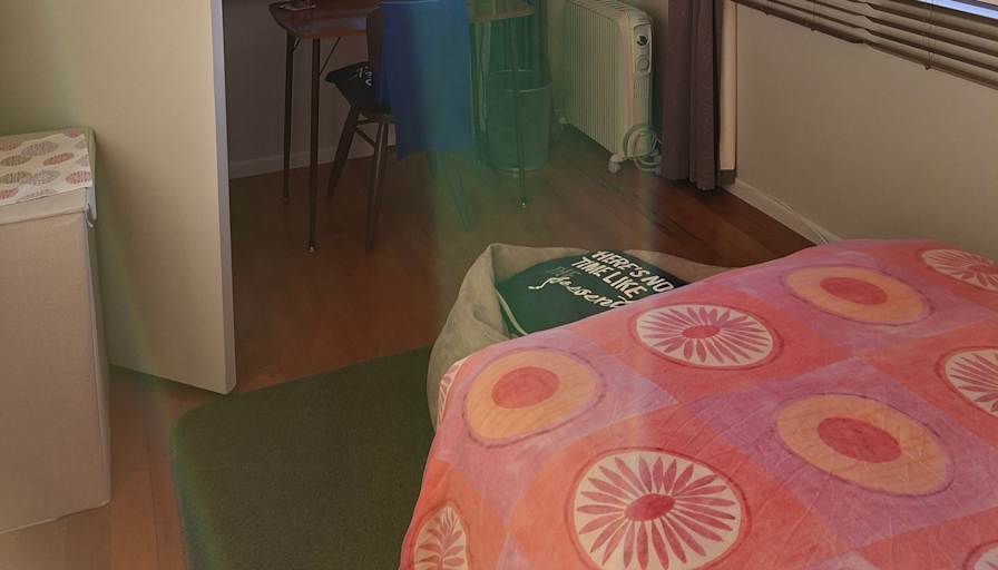 Lisa's room