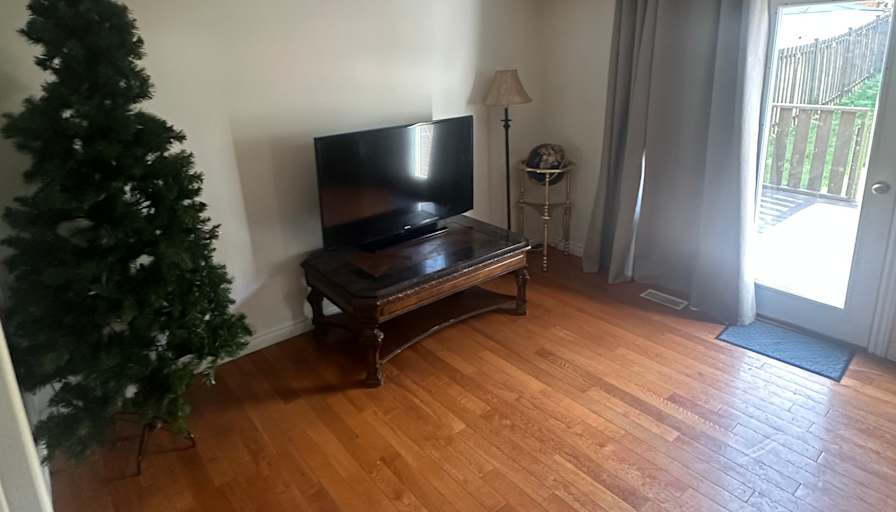 Vidur's room