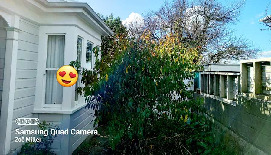Zoe Miller's room