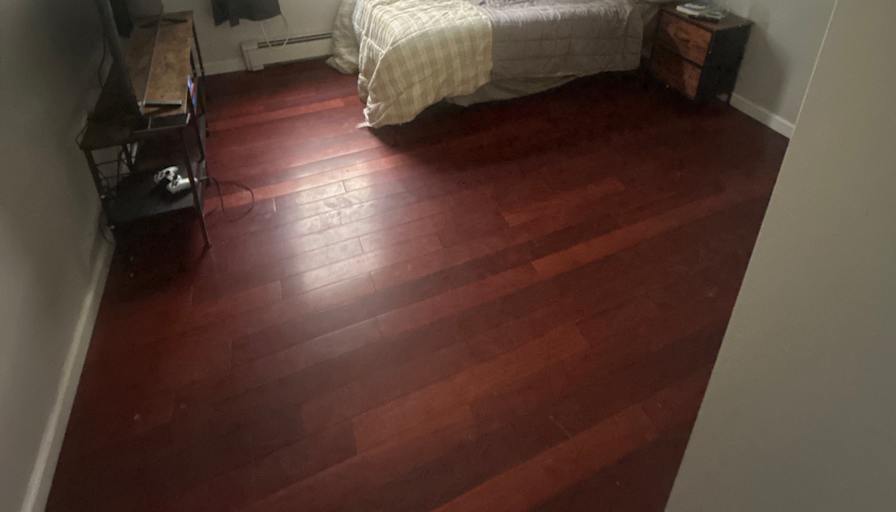 Ryan's room