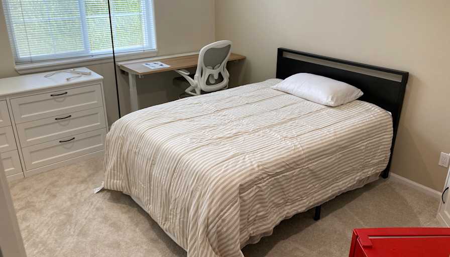 David Paul's room