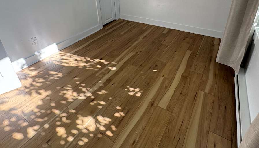 Mary's room