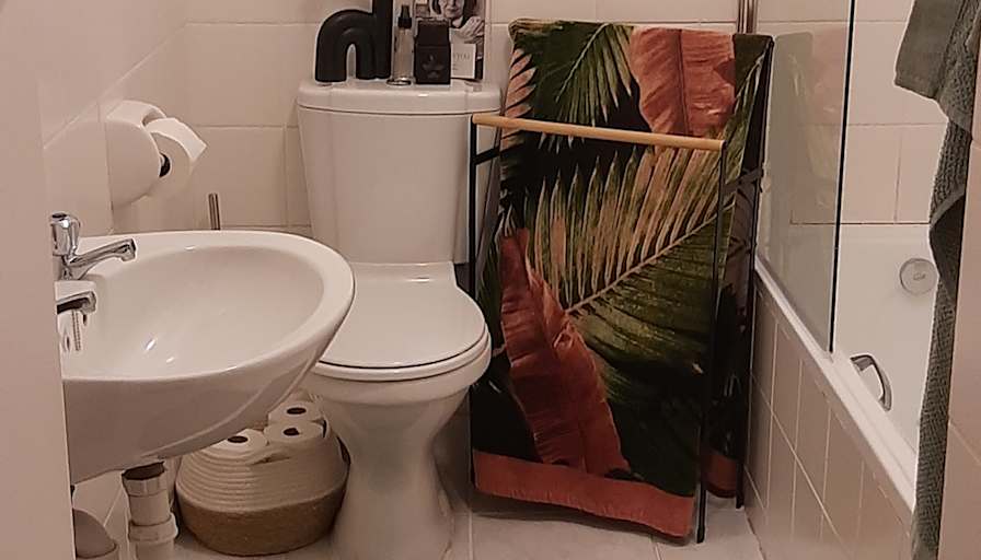 Alexa's room