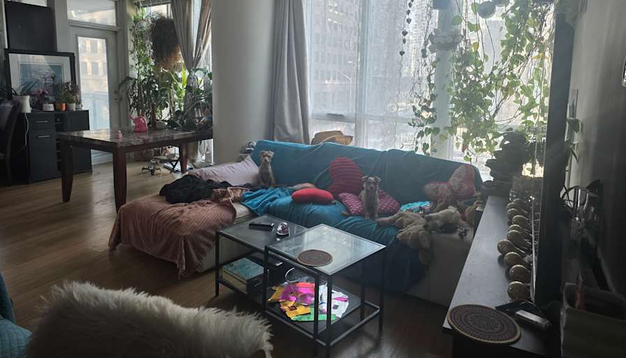 Rachita's room