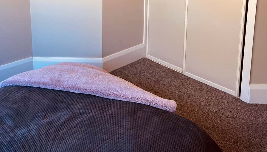 Paula's room