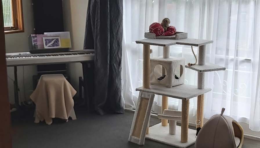 Camillia's room