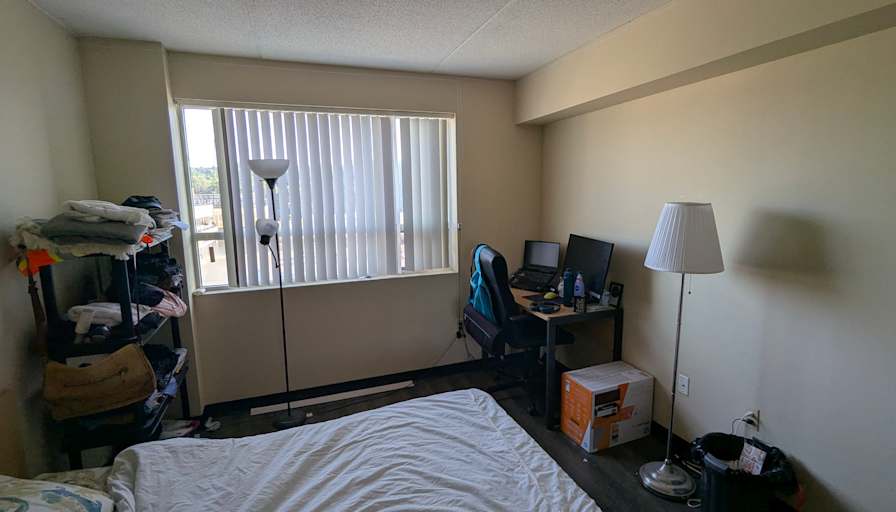 Hammad's room
