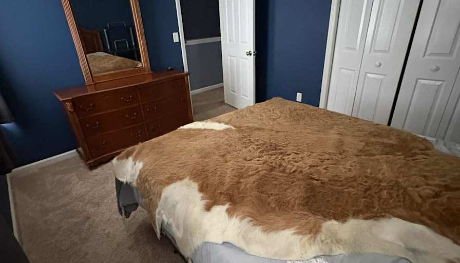 Neil's room