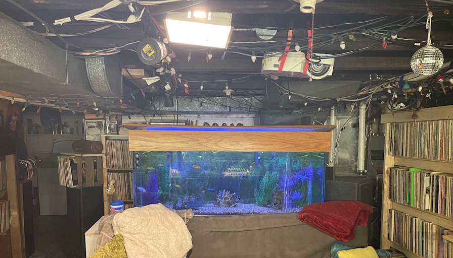 Adam's room