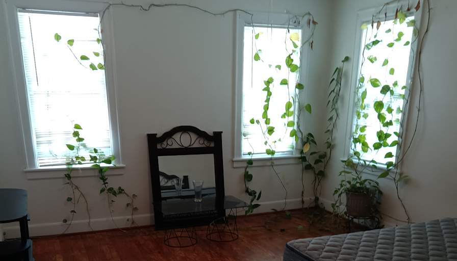 Paul's room