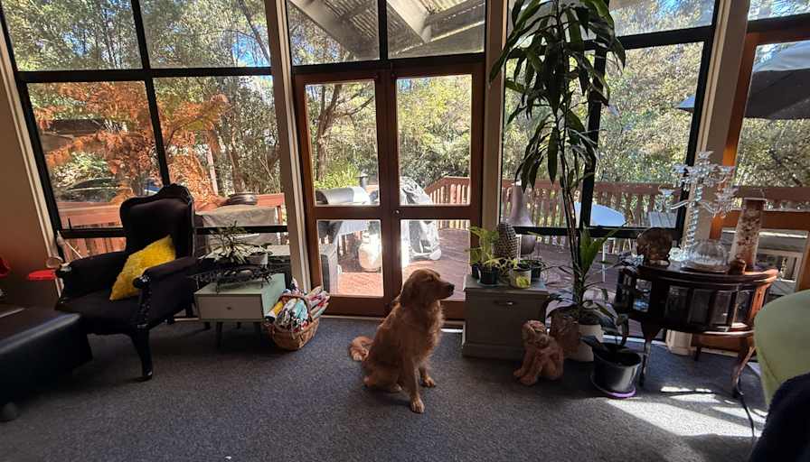 Lukas's room