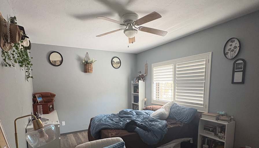 Holly blizzard's room