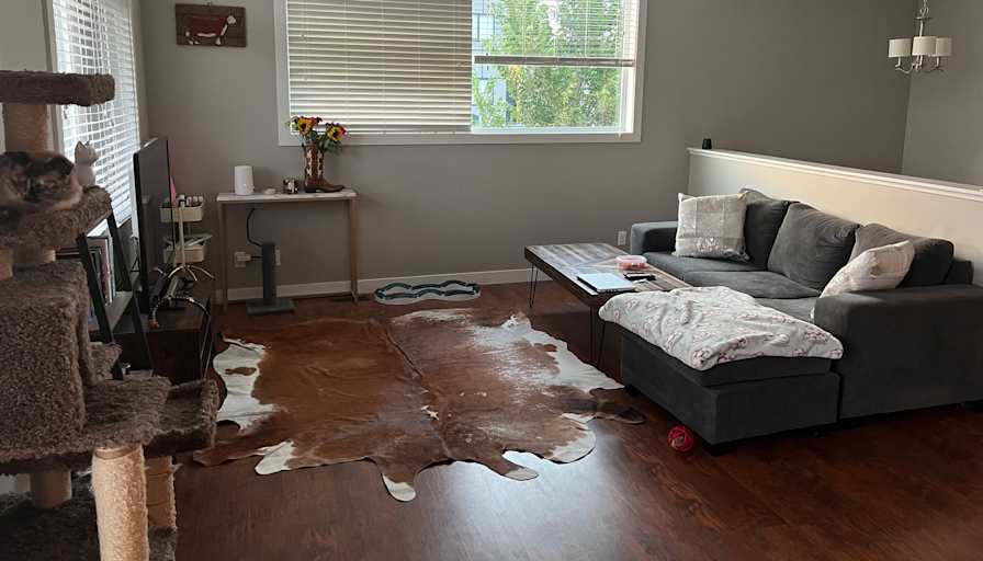 Ashley's room