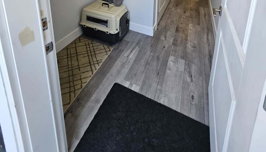 Andrew's room