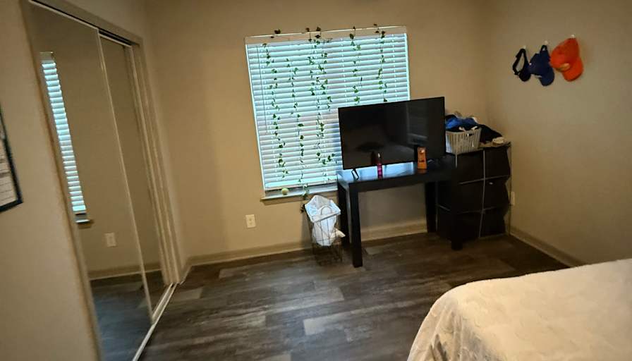 Nicole Richardson Rojas's room