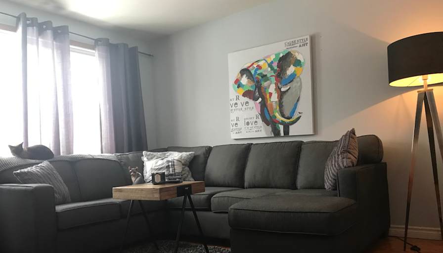 jin song Cao's room