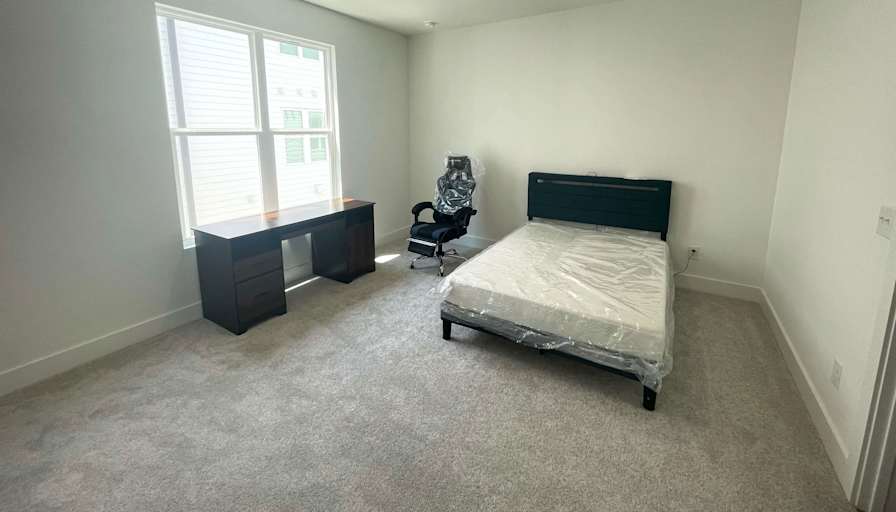 Zeyu's room