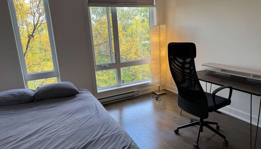 Zachary's room