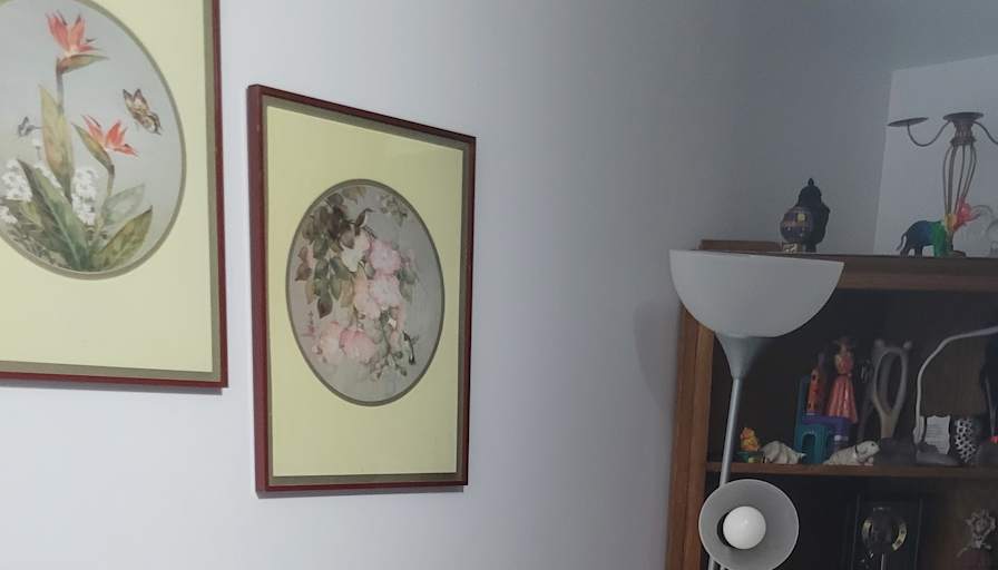Ann's room