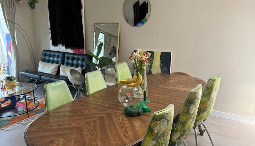 ROHAM ALAVI's room