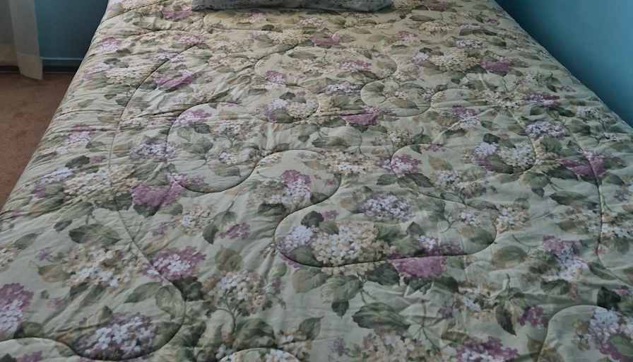 Edna Aderinboye's room