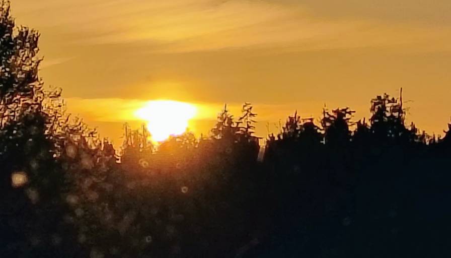Jason's room