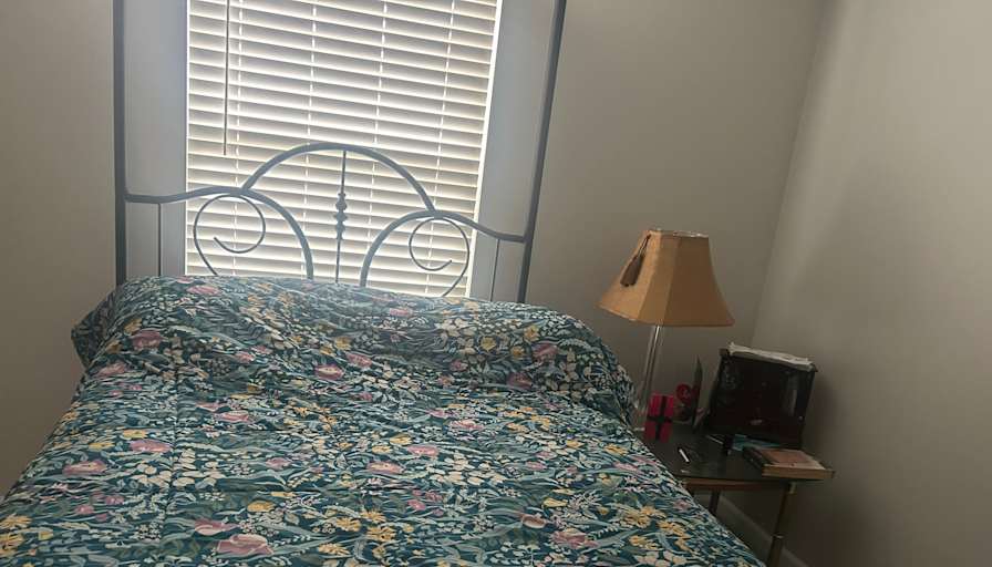 Mary's room