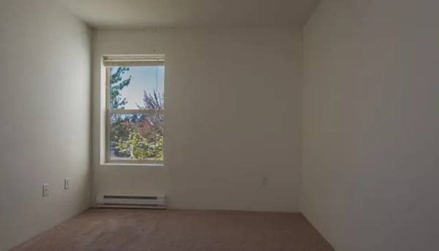 Orlando's room