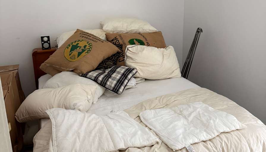 David's room