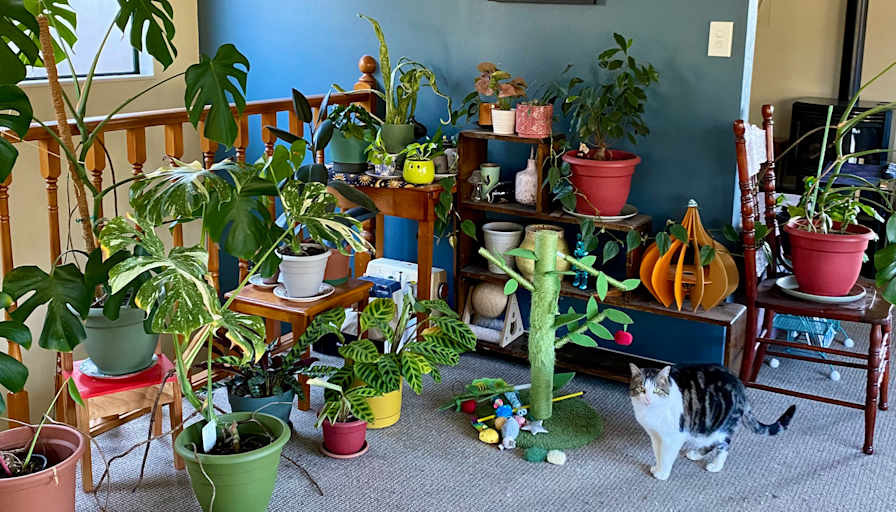 Dallas's room