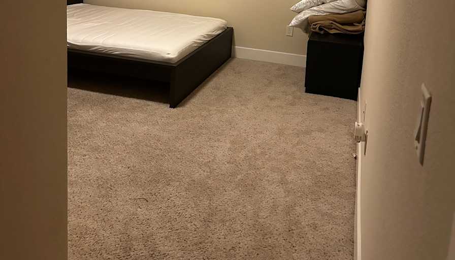 David's room