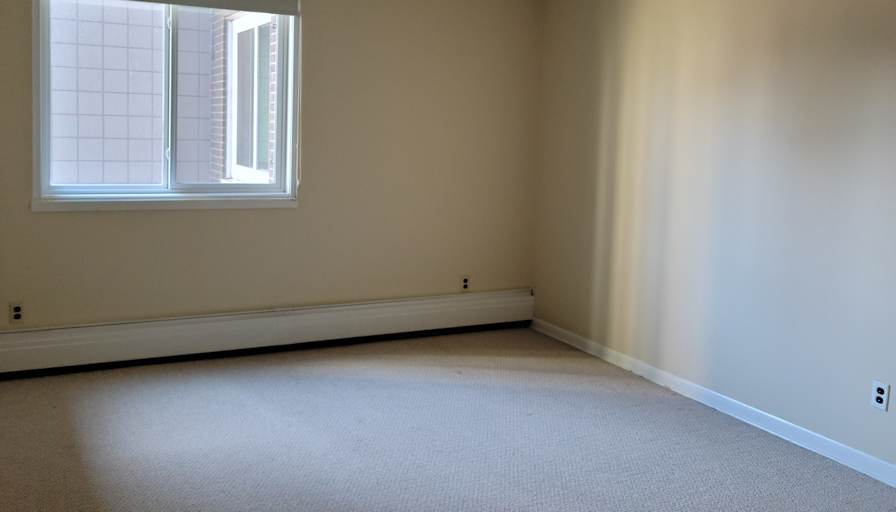 Shane's room