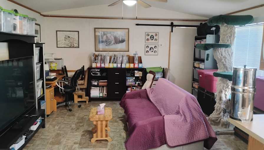 Lisa Shaw's room