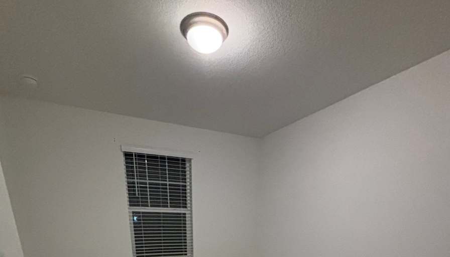 Ellen's room