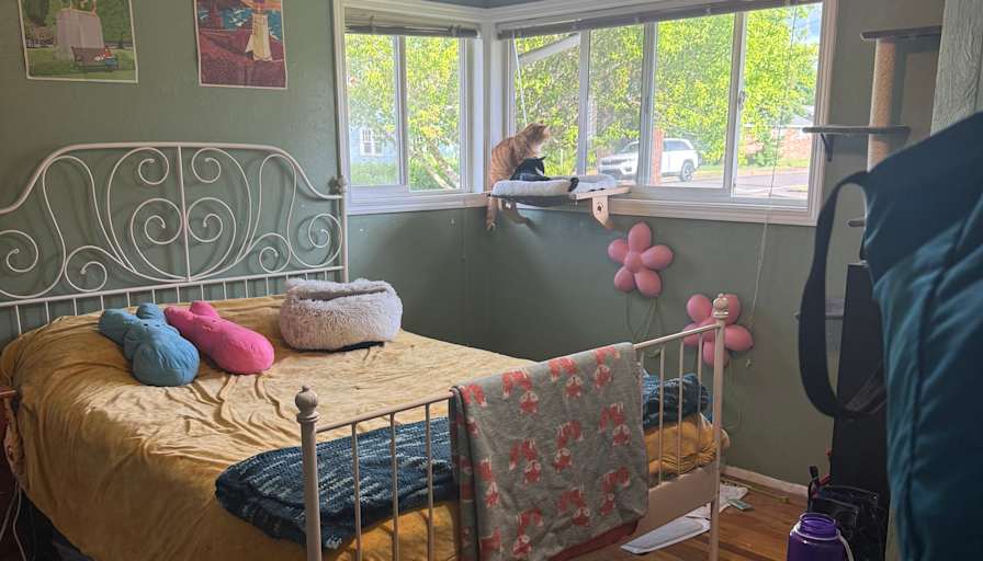 Kinsley's room