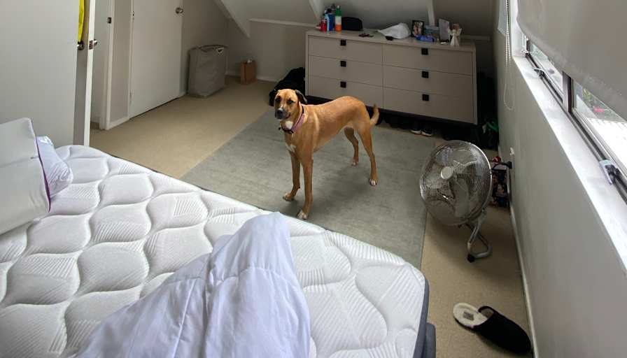 Sam Hanson-Chong's room