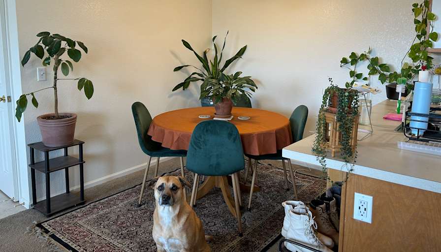 River's room