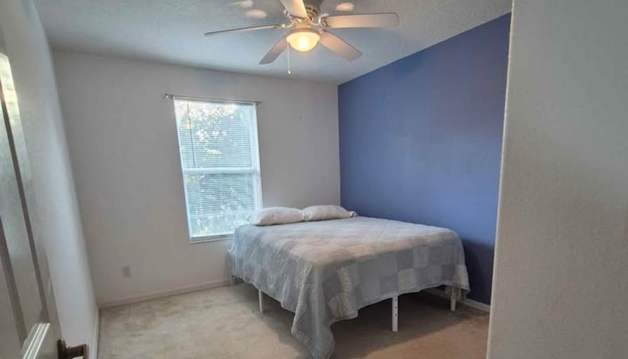 Lucero's room