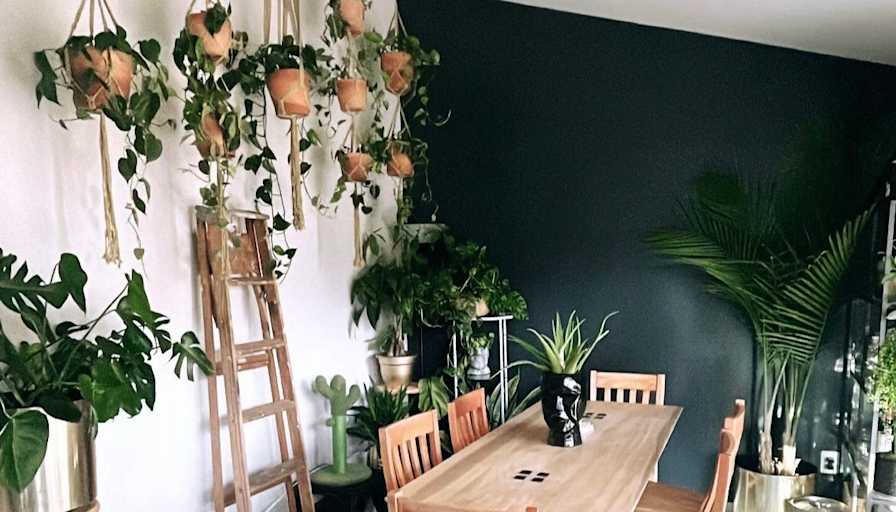 shelby jones's room