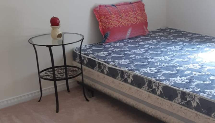 Shaheen's room