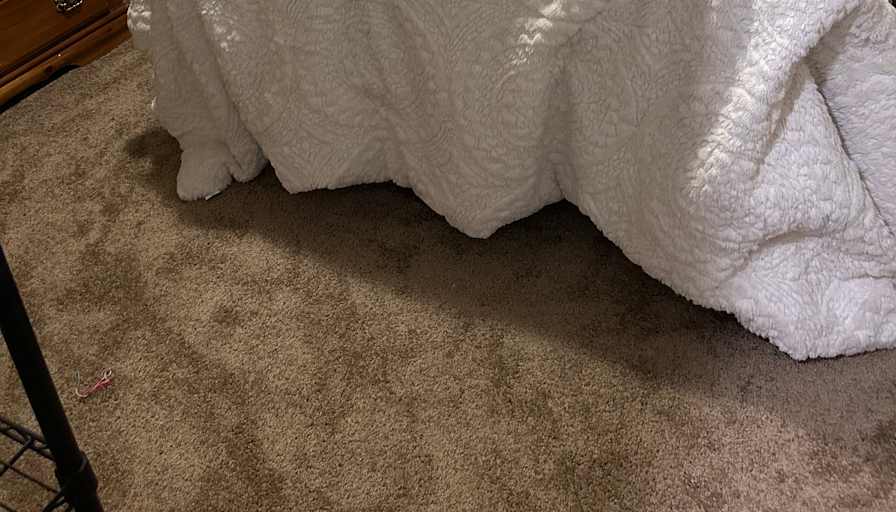 Rhonda Taylor's room
