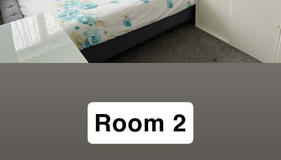 Salek's room