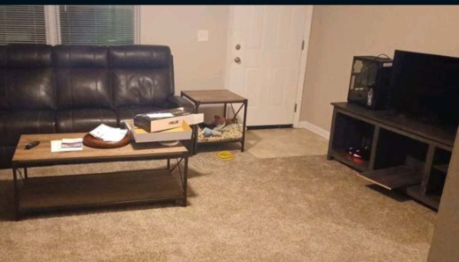 Abbey's room