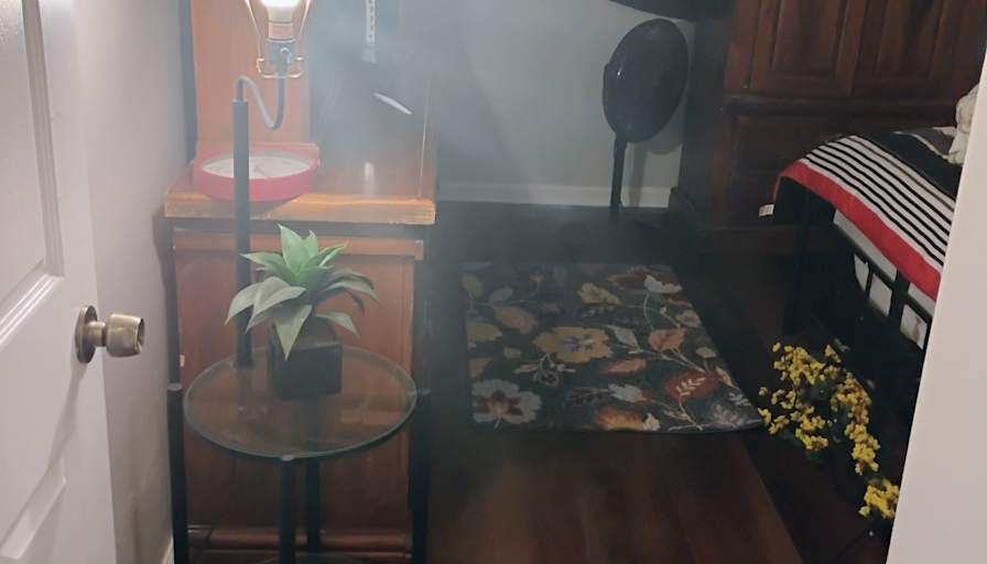 Ann's room