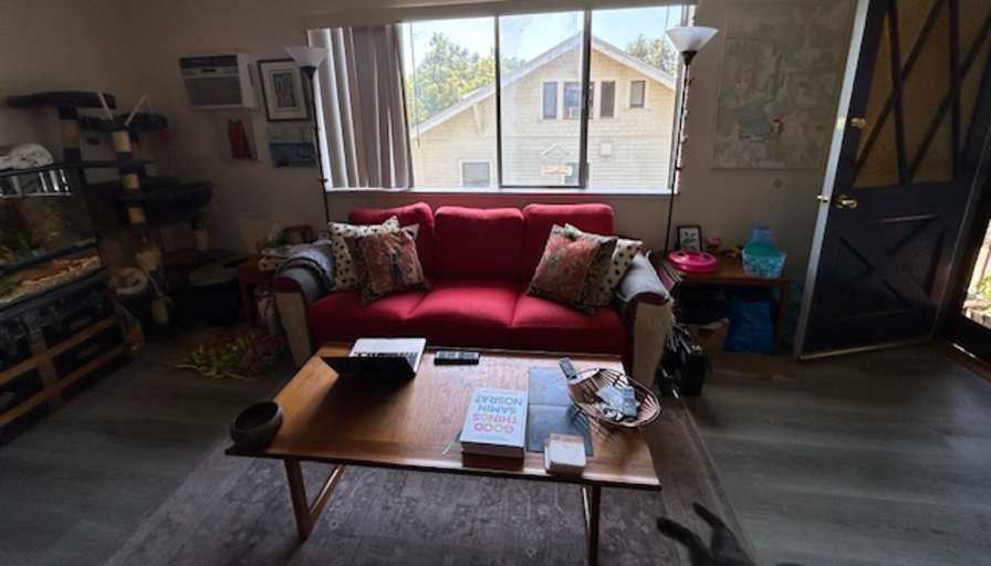 Alicia's room