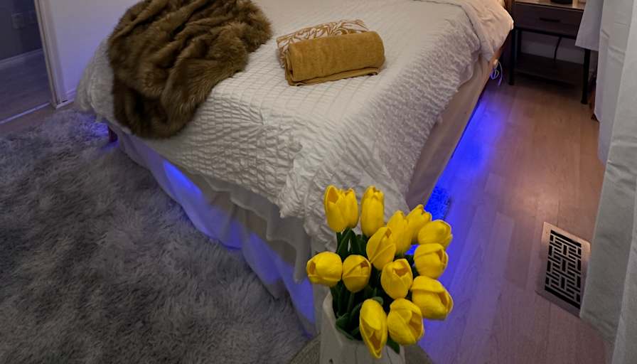 Shantel's room