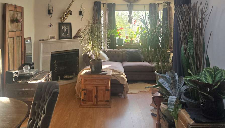 darlene fae's room
